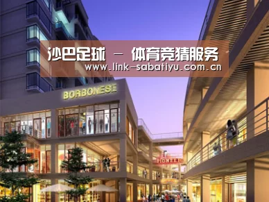 案例展示一(图1)