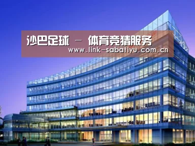 案例展示五