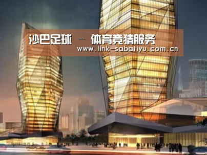 案例展示三