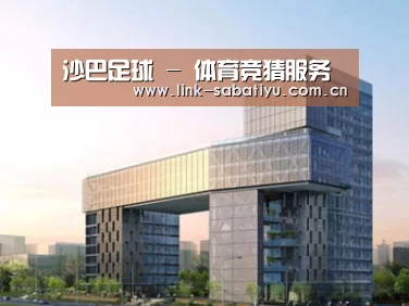 案例展示四