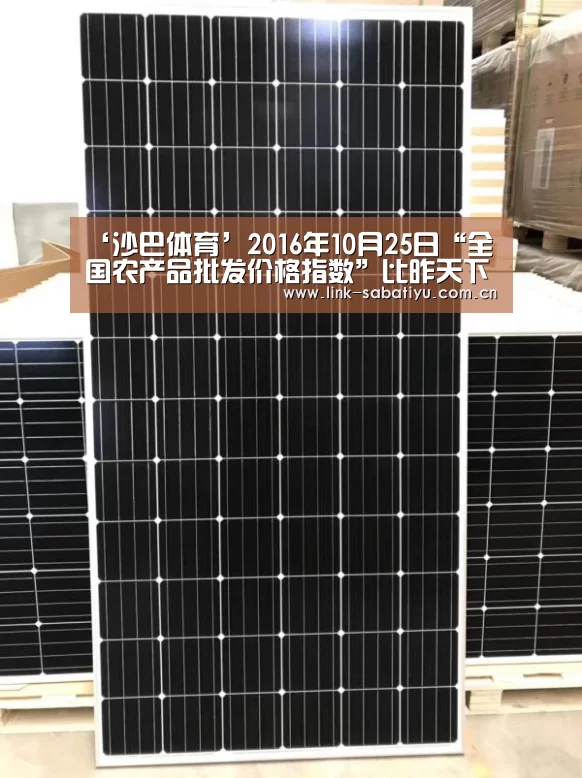 沙巴体育