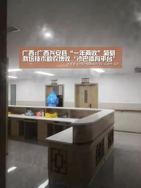 广西:广西兴安县“一年两收”葡萄栽培技术助农增收‘沙巴体育平台’(图1) 沙巴体育平台