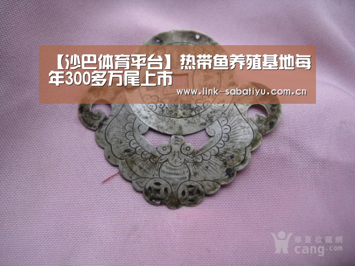 【沙巴体育平台】热带鱼养殖基地每年300多万尾上市(图2) 沙巴体育官网