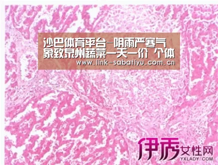 沙巴体育平台