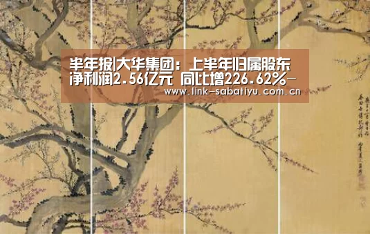 半年报|大华集团:上半年归属股东净利润2.56亿元 同比增226.62%-沙巴体育平台(图3) 沙巴体育