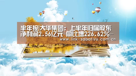 半年报|大华集团:上半年归属股东净利润2.56亿元 同比增226.62%-沙巴体育平台(图4) 沙巴体育平台