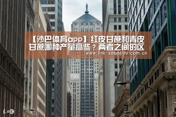 沙巴体育app