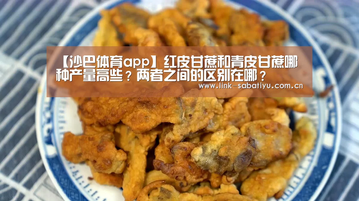 沙巴体育app