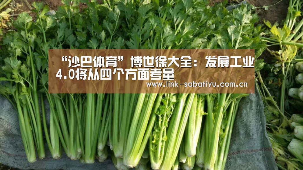 “沙巴体育”博世徐大全:发展工业4.0将从四个方面考量(图2) 沙巴体育