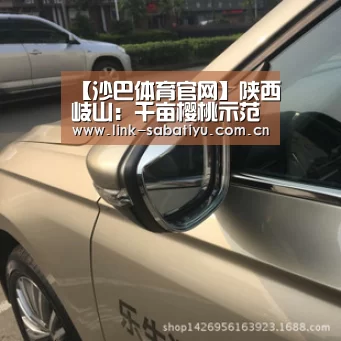 沙巴体育