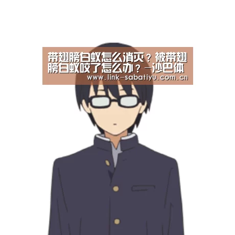 沙巴体育