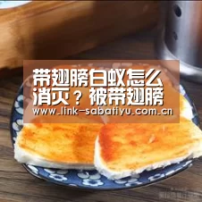 沙巴体育平台