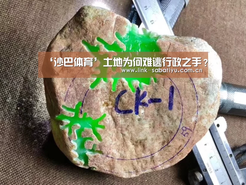 ‘沙巴体育’土地为何难逃行政之手?(图4) 沙巴体育官网