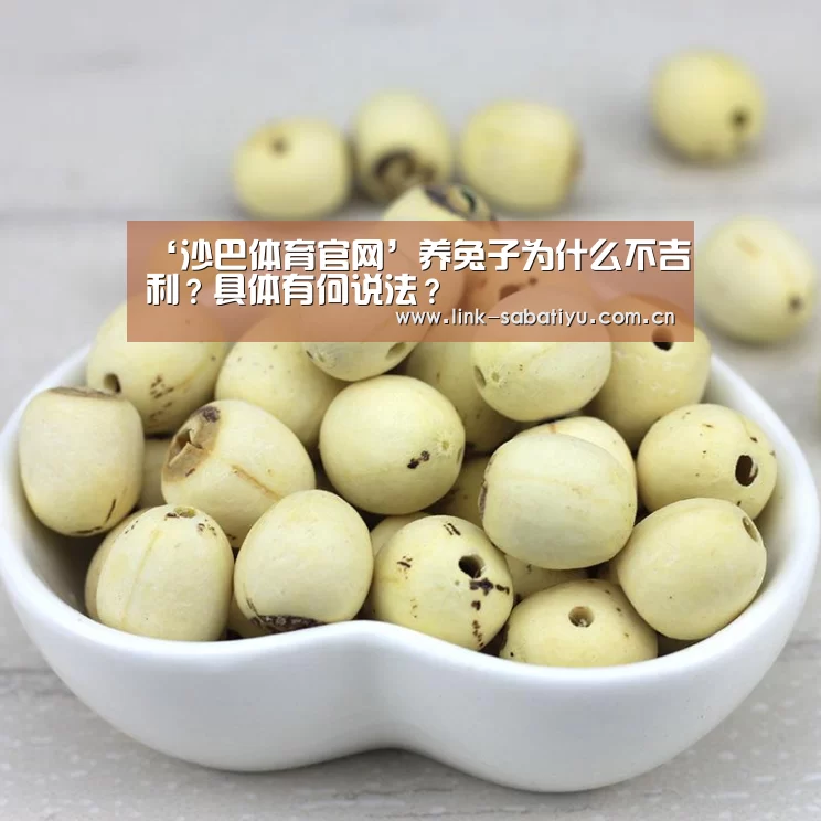 ‘沙巴体育官网’养兔子为什么不吉利?具体有何说法?(图3) 沙巴体育平台