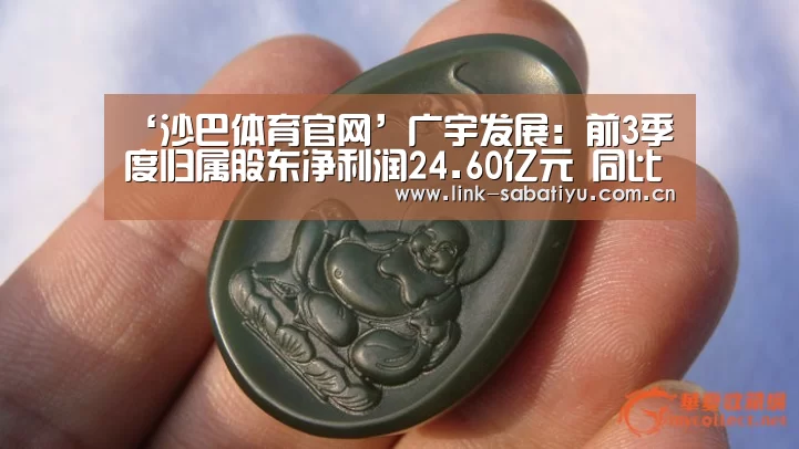 ‘沙巴体育官网’广宇发展:前3季度归属股东净利润24.60亿元 同比增6.64%(图3) 沙巴体育