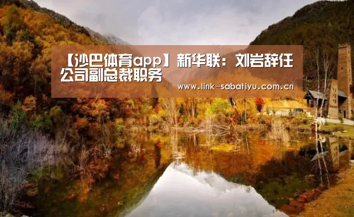 【沙巴体育app】新华联:刘岩辞任公司副总裁职务(图2) 沙巴体育