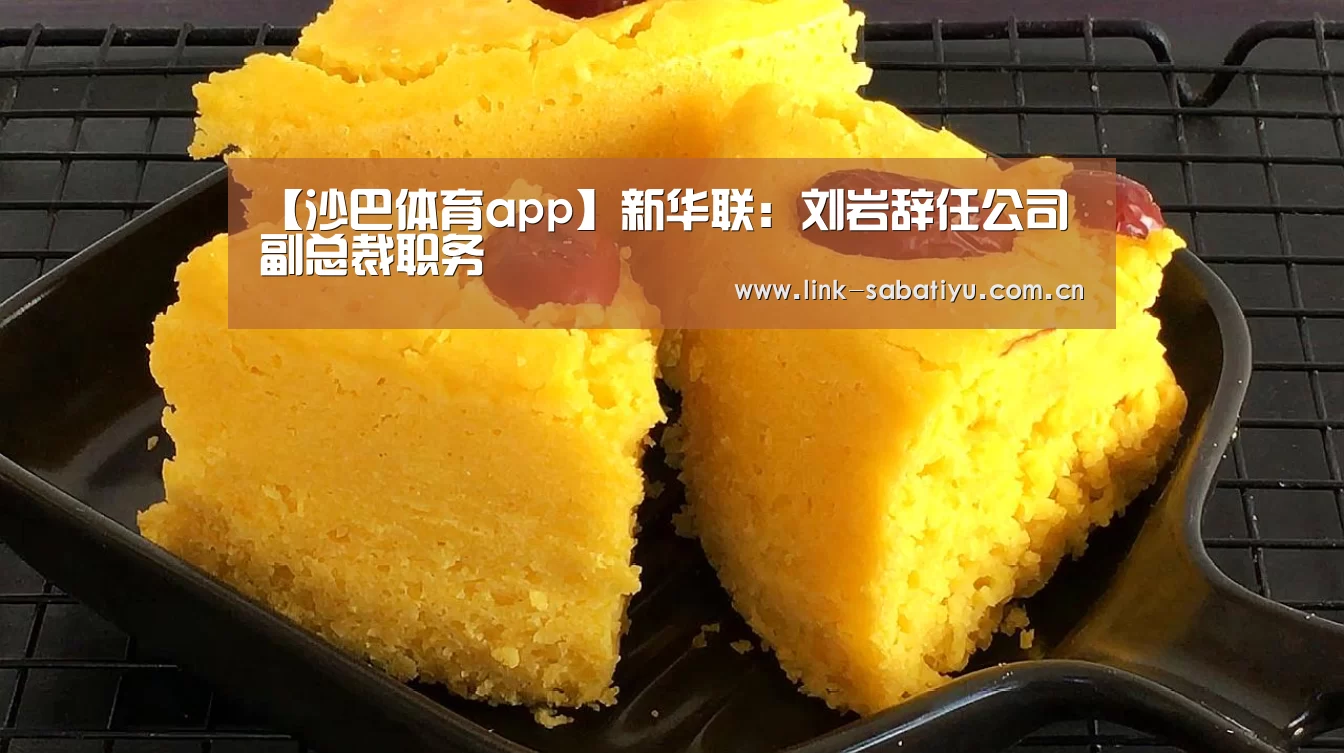 【沙巴体育app】新华联:刘岩辞任公司副总裁职务(图3) 沙巴体育app