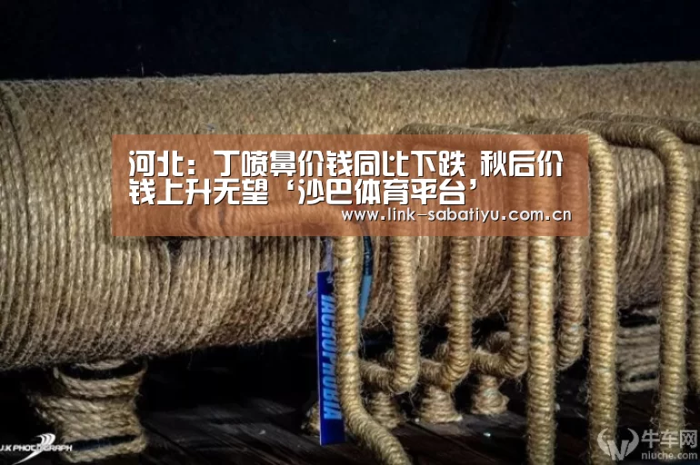 河北:丁喷鼻价钱同比下跌 秋后价钱上升无望‘沙巴体育平台’(图1) 沙巴体育平台